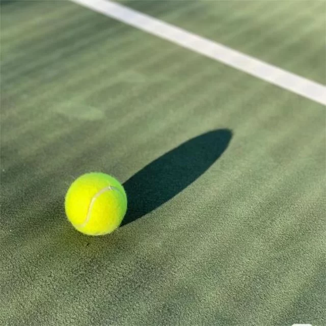 乒乓球冠军竞争格局背后的数据洞察与趋势分析